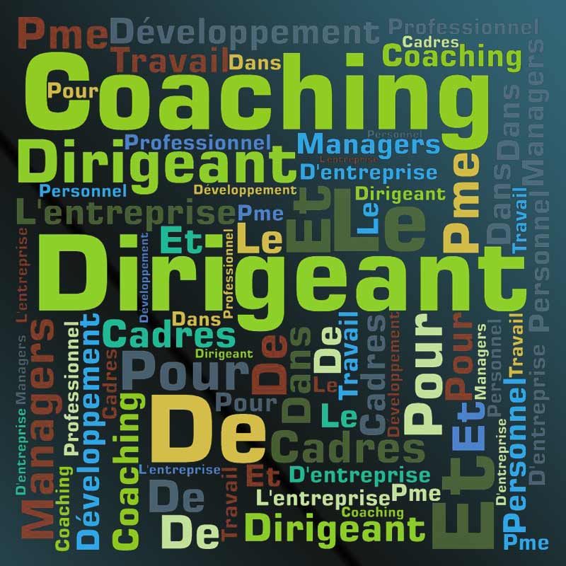 Coaching professionnel, coaching dirigeant